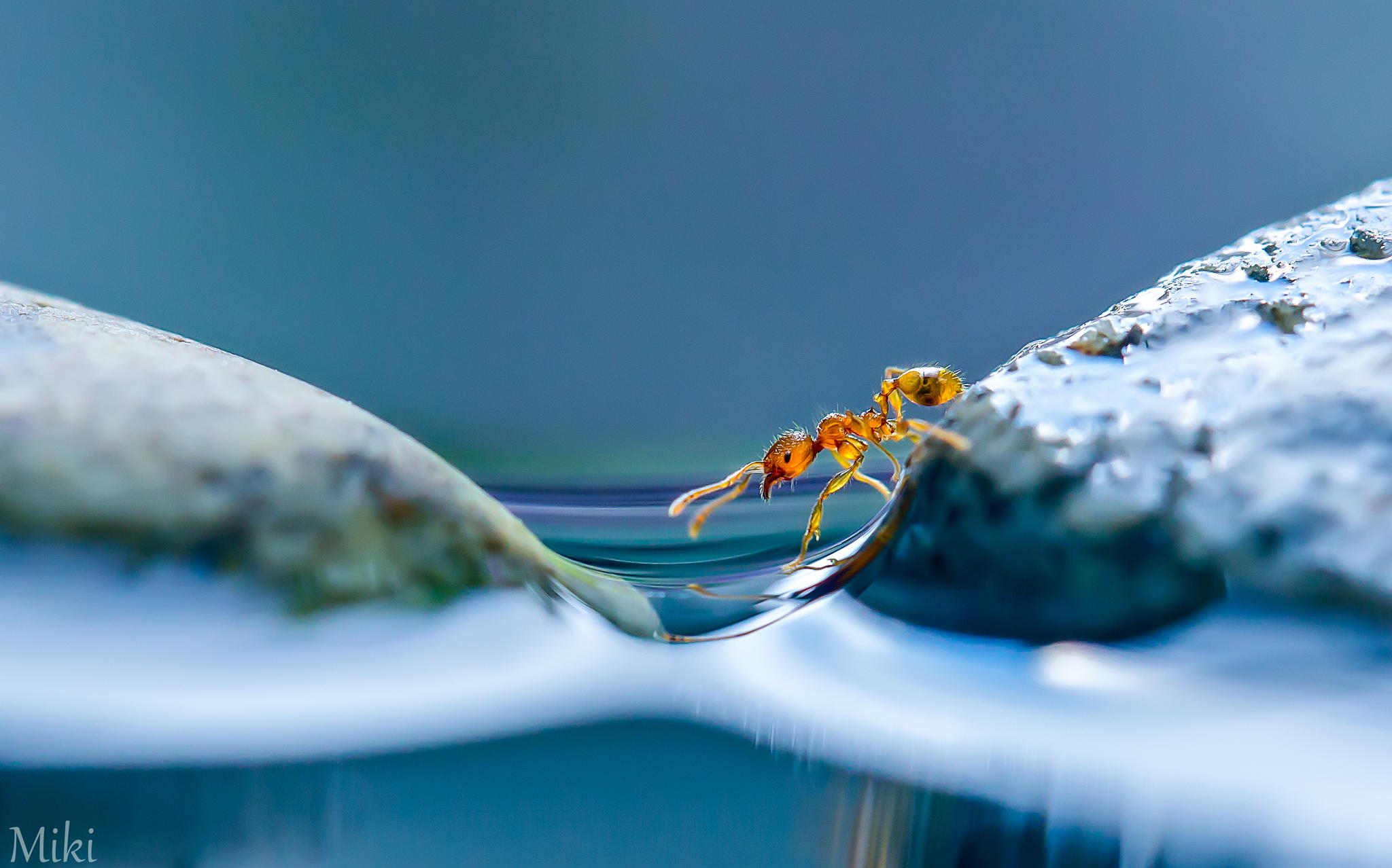 500px Iso Stunning Photography Incredible Stories Miki Asai Shares Her Secrets To Shooting