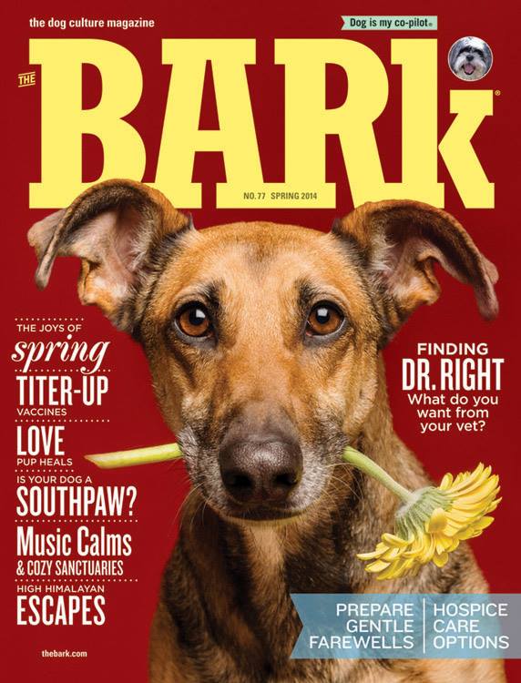Bark Magazine May 2014 cover