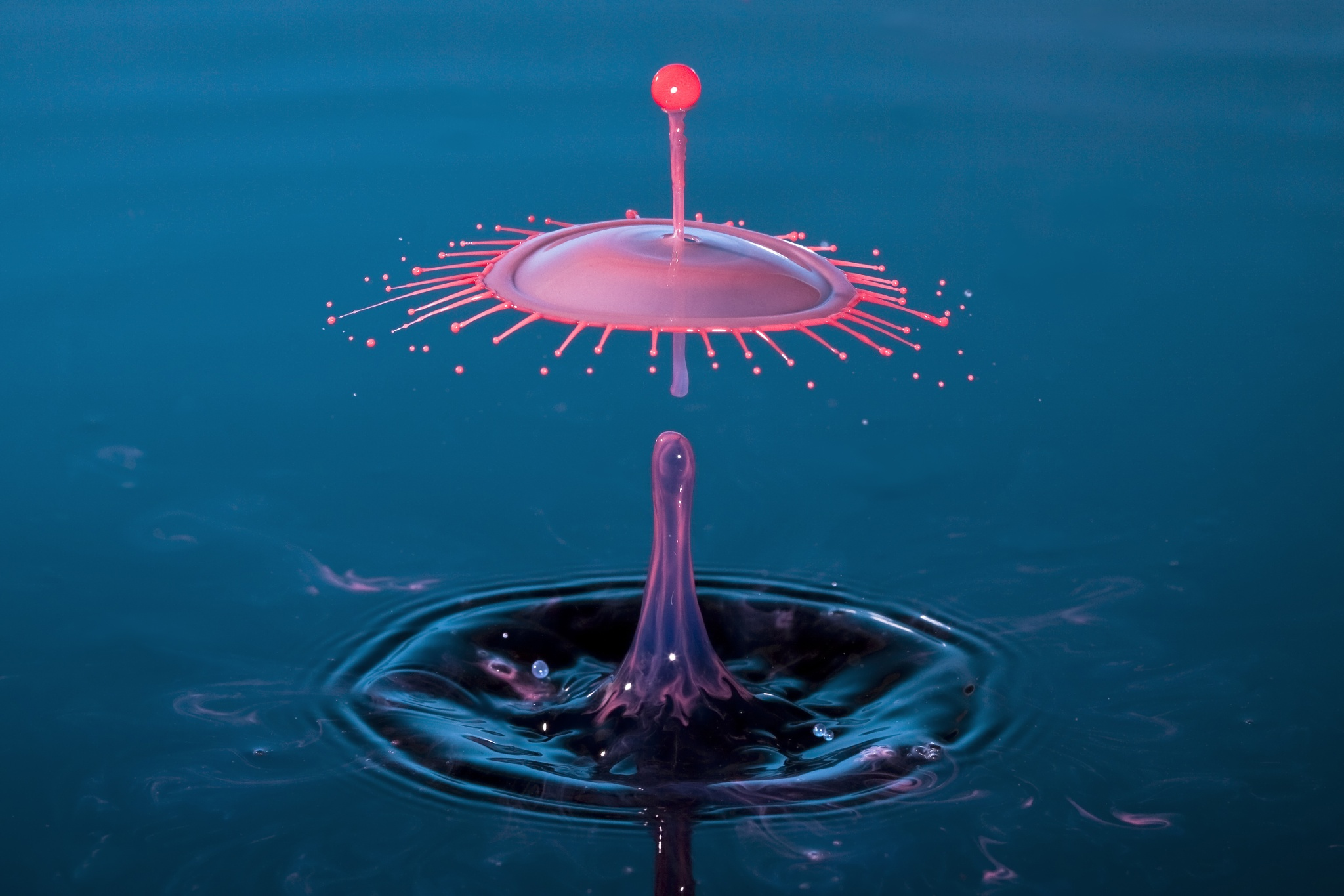 How To Get Started in Water Drop Photography