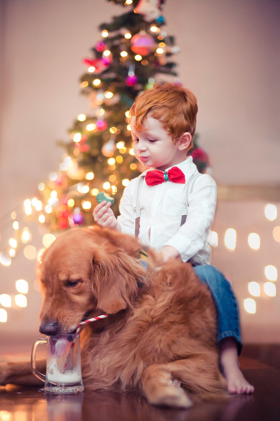 20 Photos That Will Make You Nostalgic for the Holidays Including Some Very Adorable Pets