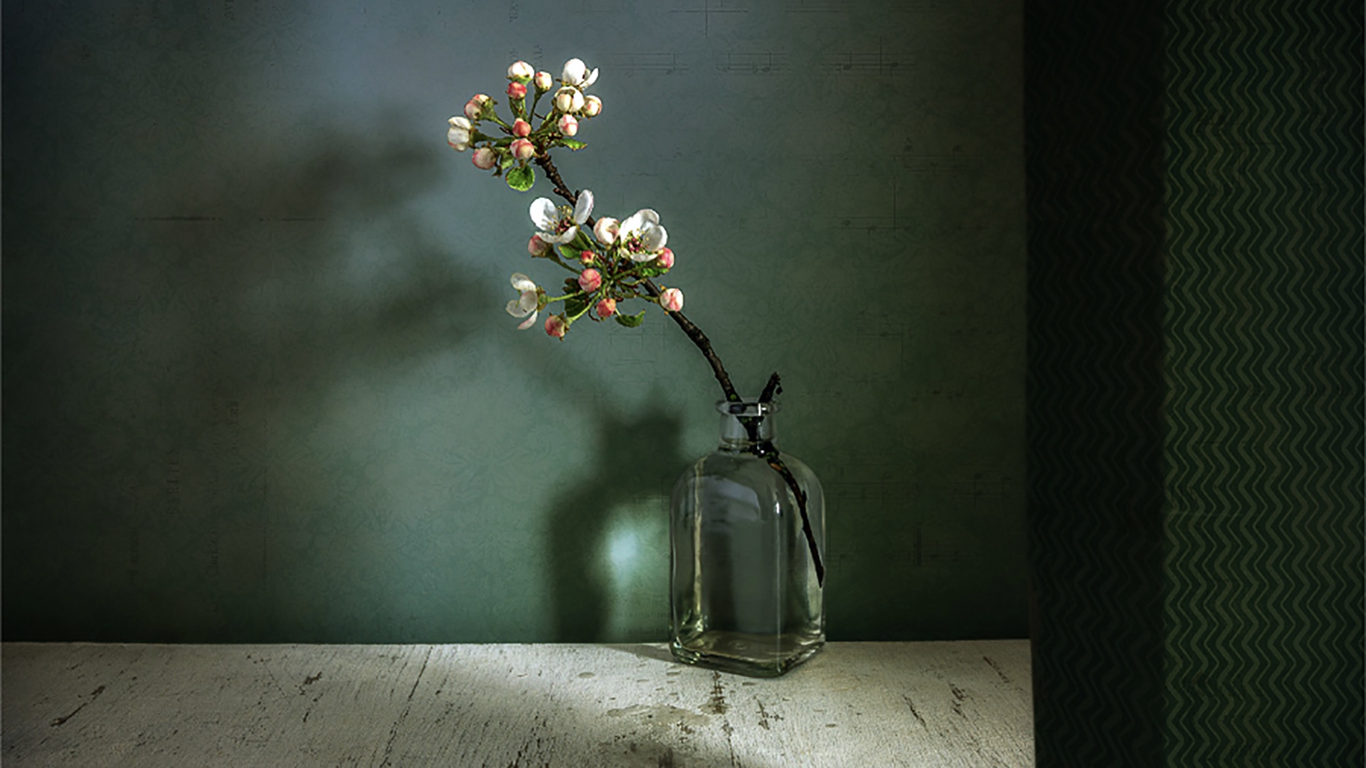 Still life photography: The essential guide for photographers