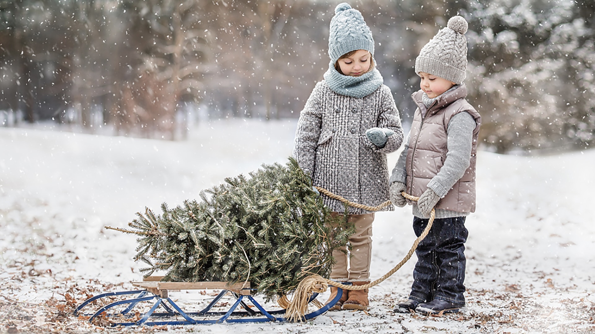 Eight tips for photographing your family around the holidays