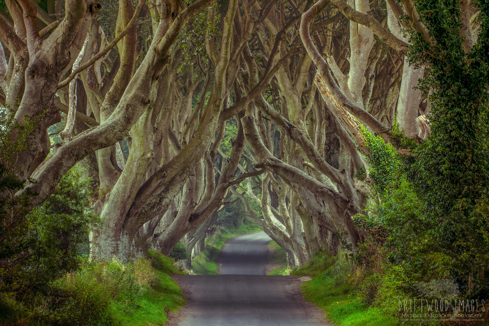 You Won't Believe These Places in Game of Thrones Actually Exist