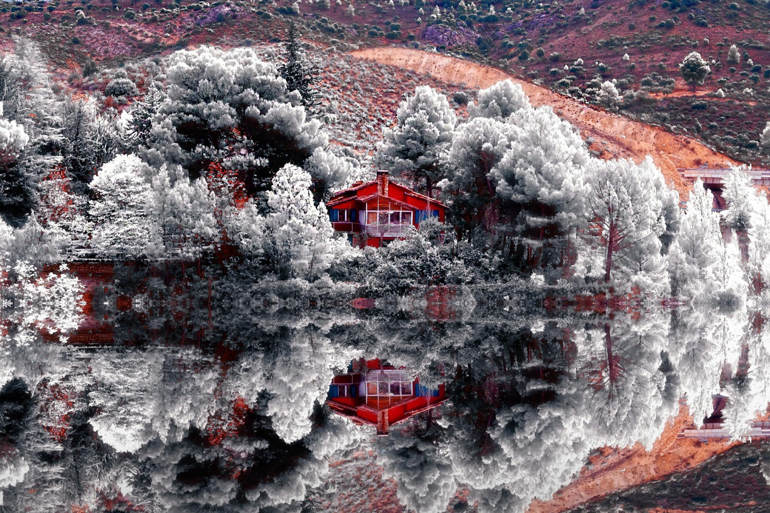 nikon d7000 infrared photography