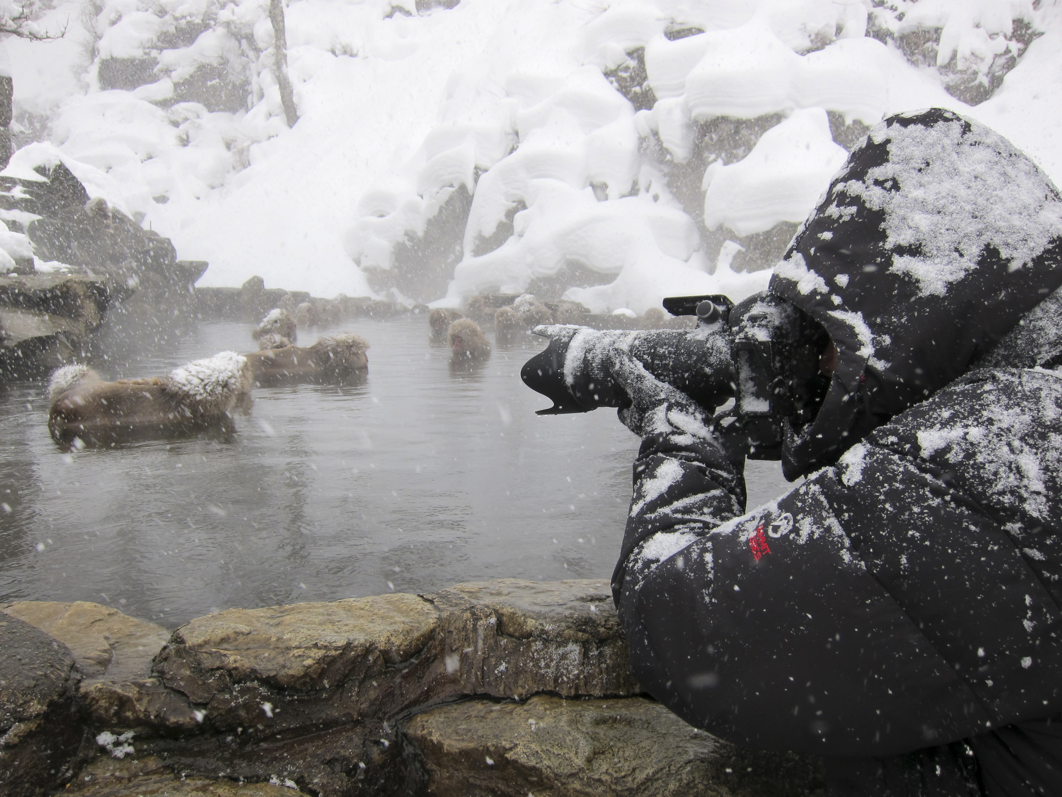 Snow Money - Photographer Marsel van Oosten at work