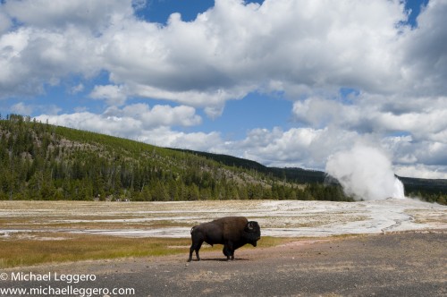 yellowstone