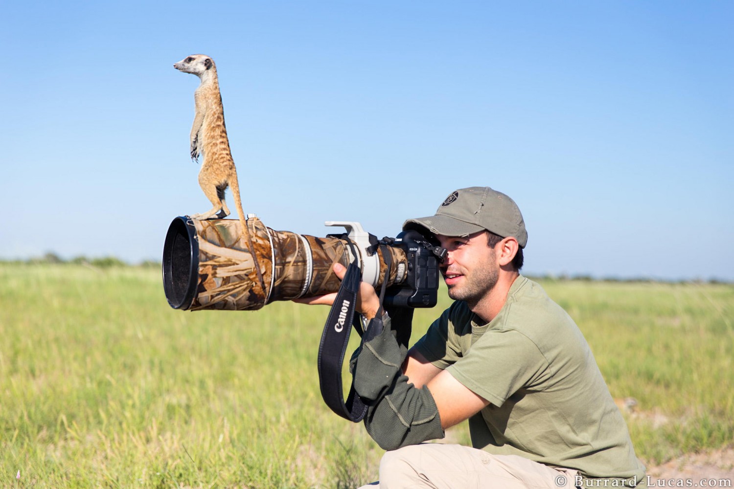 A Pro Shares His Go-To Gear For Wildlife Photography