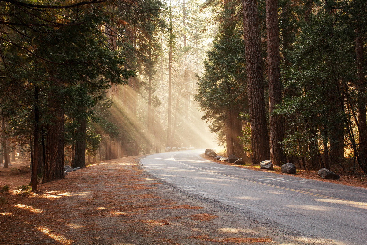 A Photographer Shares His Pan-American Highway Road Trip Photo Diary