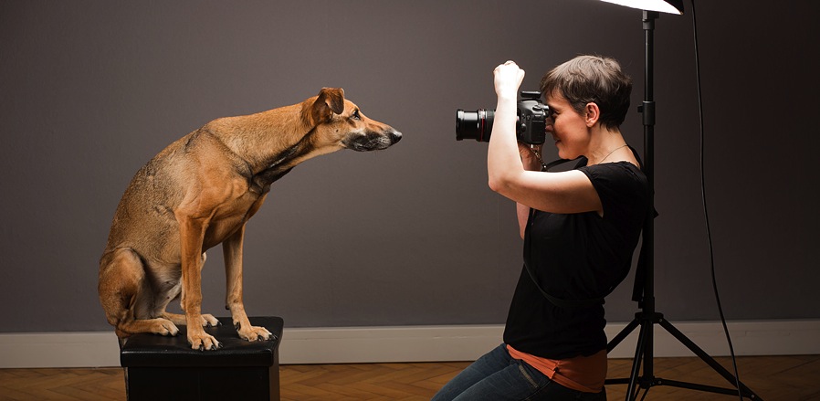 A Day In The Life Of Pet Portrait Photographer Elke Vogelsang