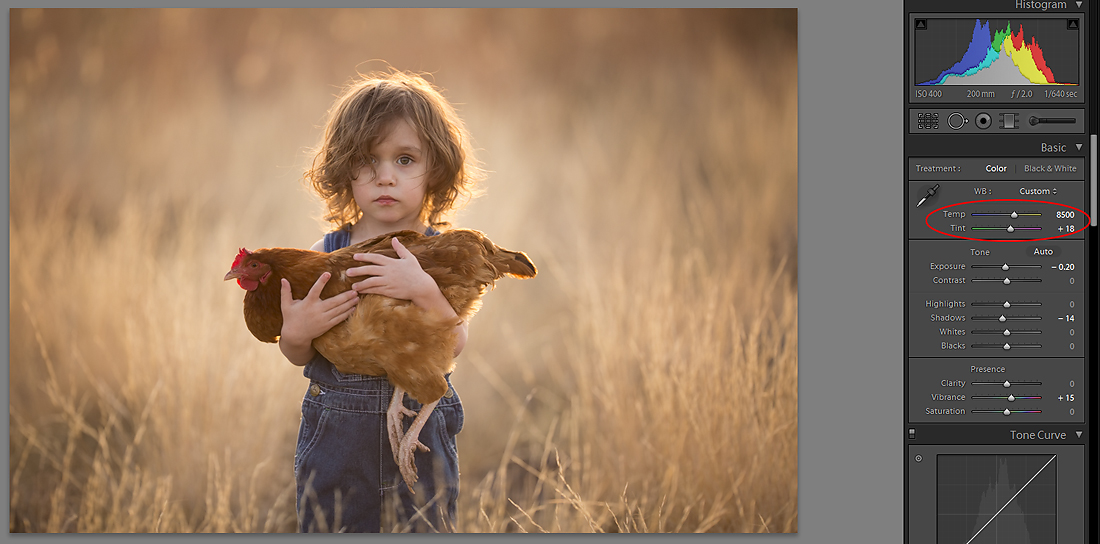 Natural light Photography -  Lisa-Holloway-08