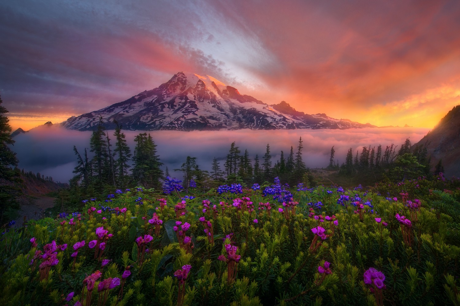 A Day In The Life Of Landscape Photographer Marc Adamus 500px