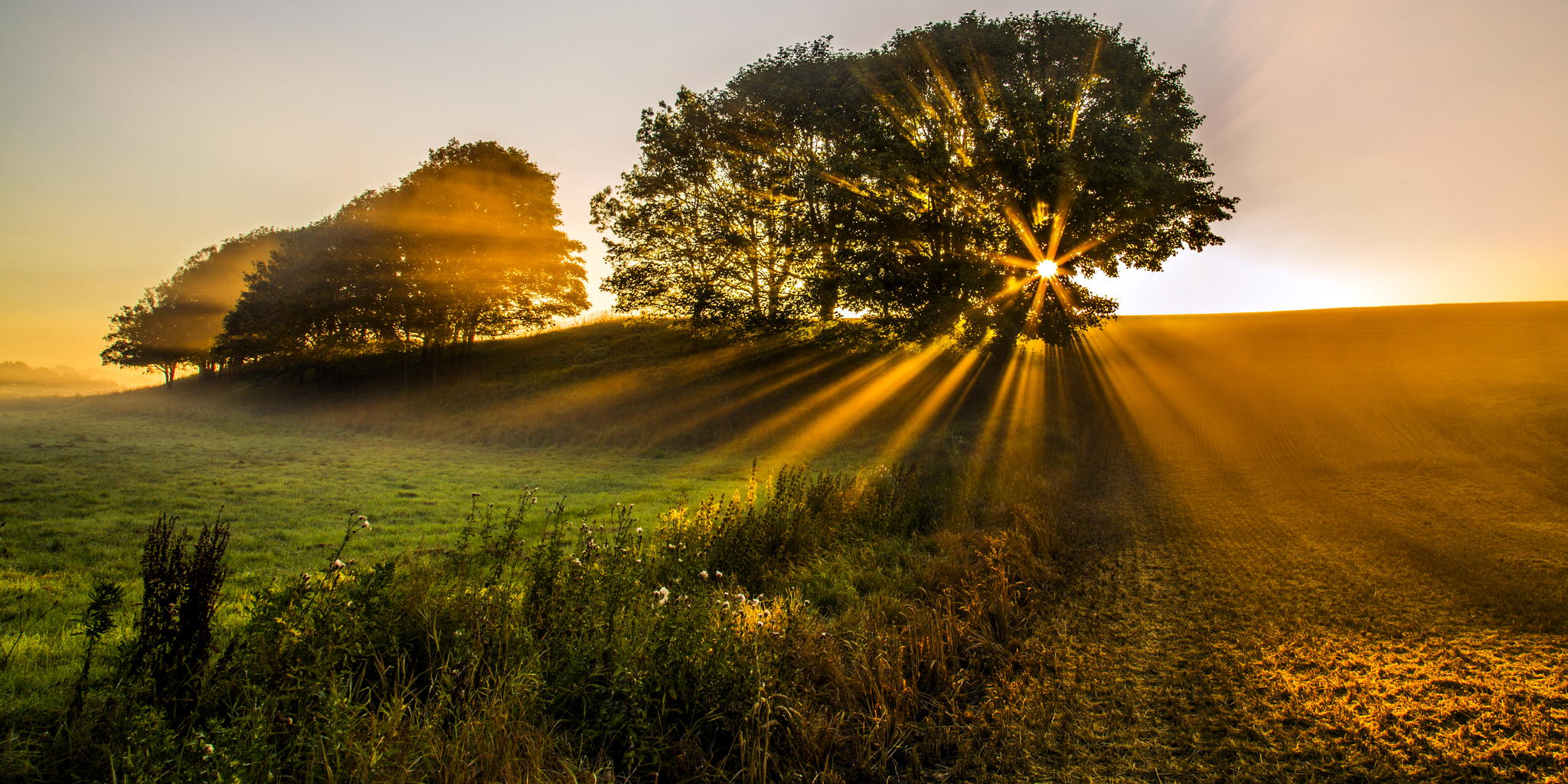 Contest: 20 Winning Golden Hour Photos. Plus, A New Theme!