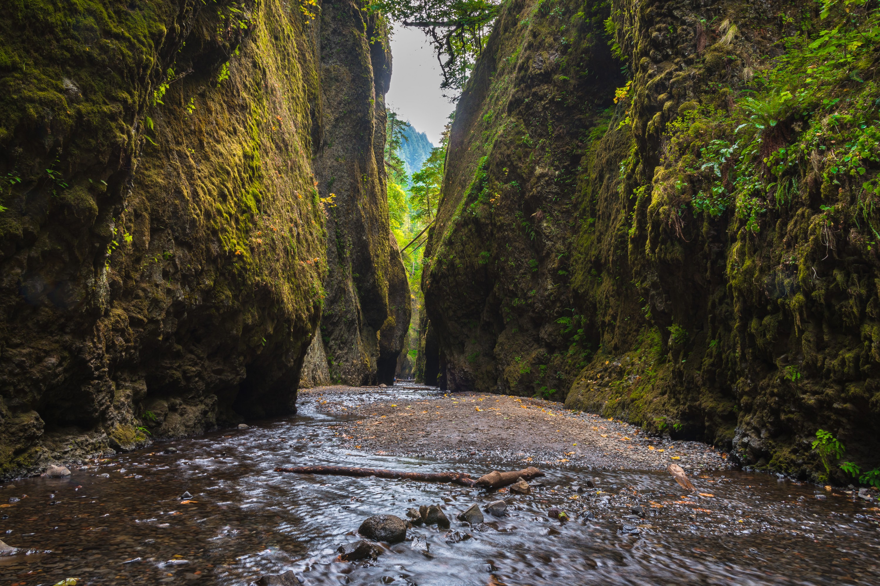 500px Road Trip Day 3: Oneonta Gorge, Multnomah Falls, Coasts Of Oregon