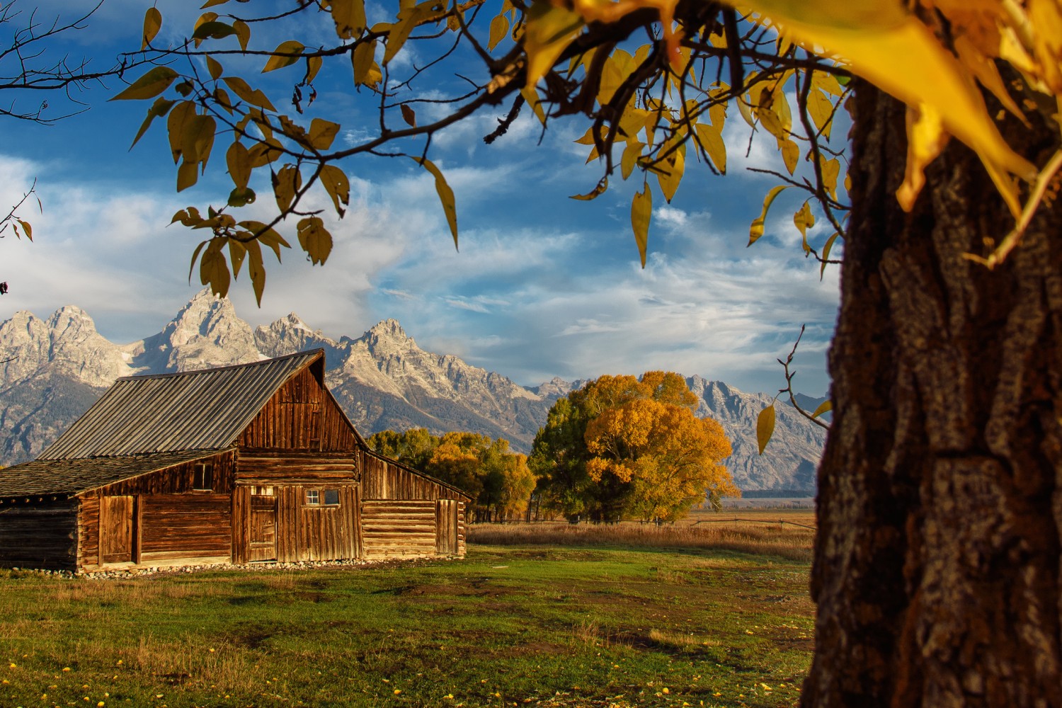 500px Road Trip Photo Diary Days 8-12: Yellowstone National Park, Grand Tetons & Bisons