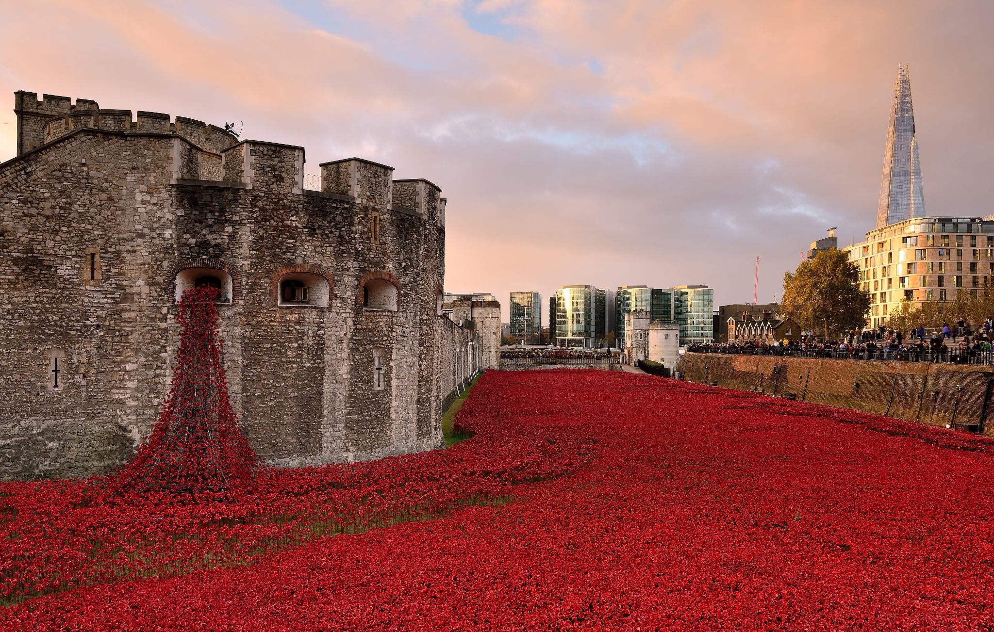20 Jaw-Dropping Red Poppy Photos In Honor Of Remembrance Day