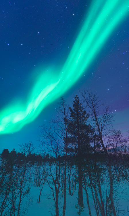 Northern Lights Photography - Northern Lights in Sweden