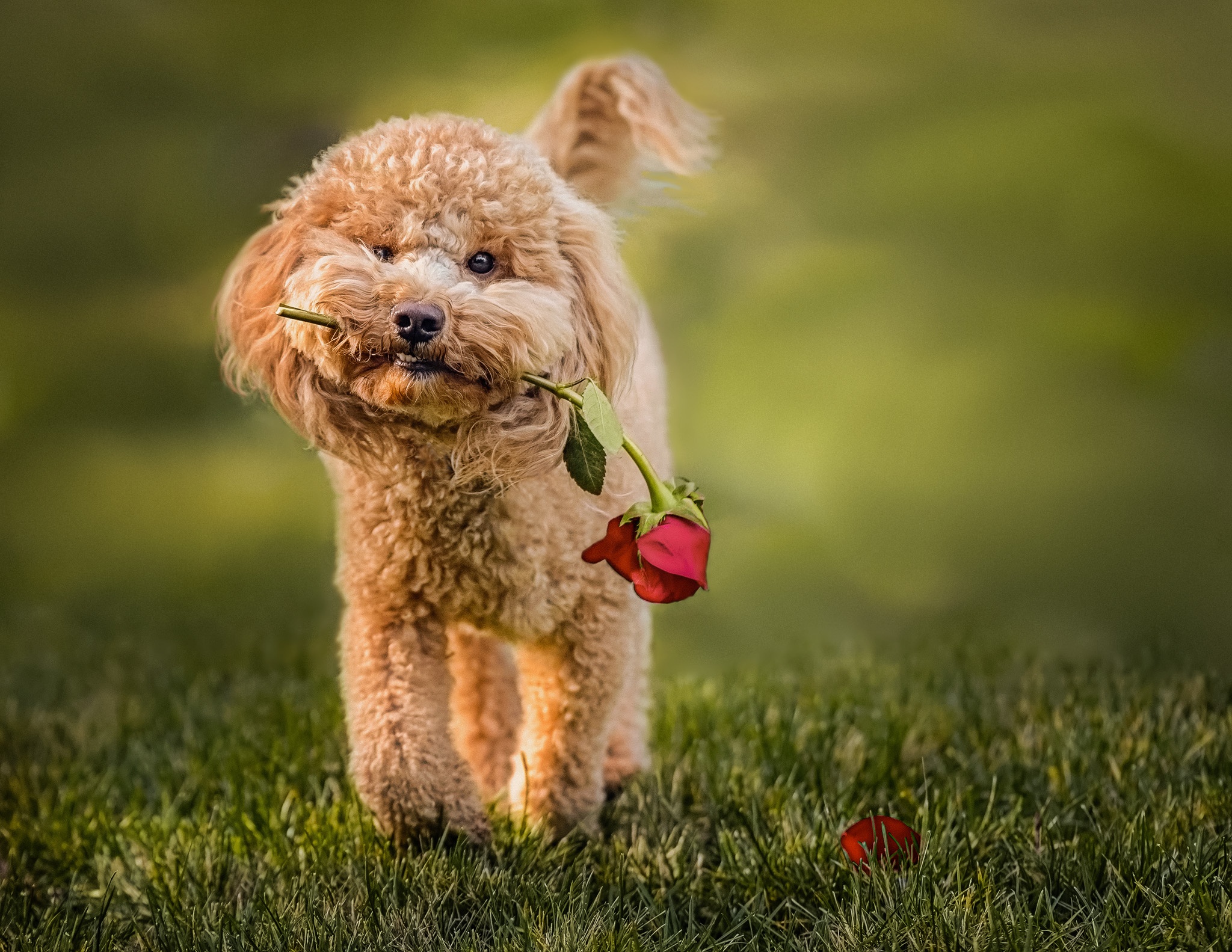 Love Is In The Air: 35 Photos That Celebrate Love in All Its Forms