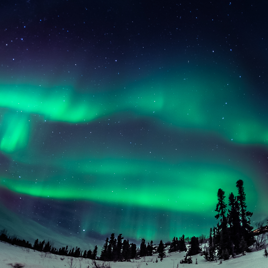 Moonrise Over Northern Lights -- a brilliant aurora shines above a nearly  full moon during a chilly winter night on Alaska's north slope, Smithsonian Photo Contest