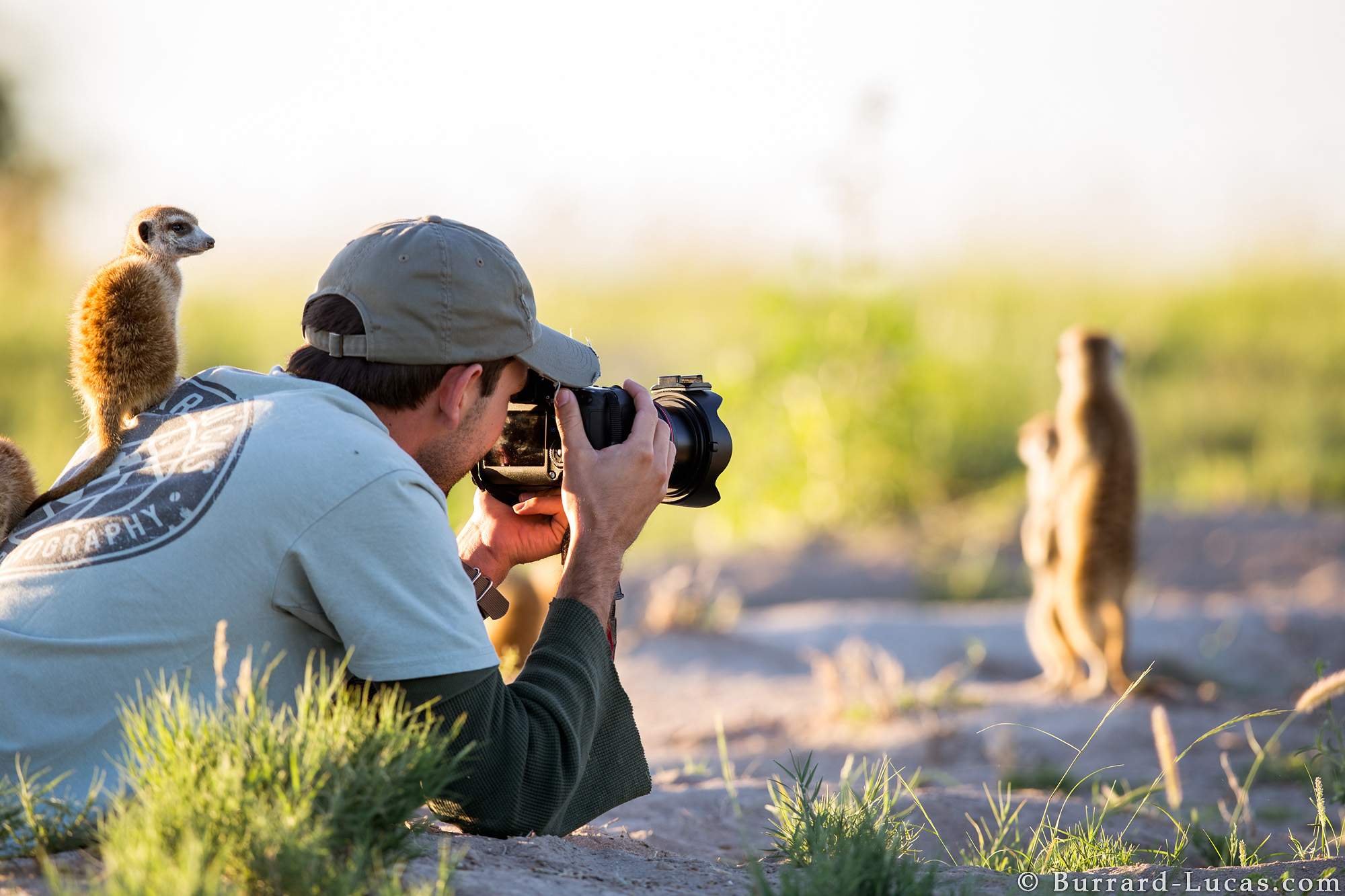 What is Wildlife Photography?