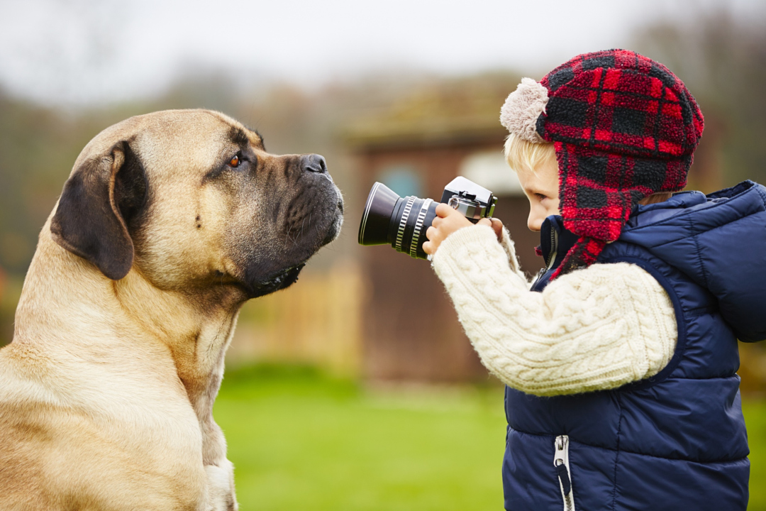 stock photography - Little photographer