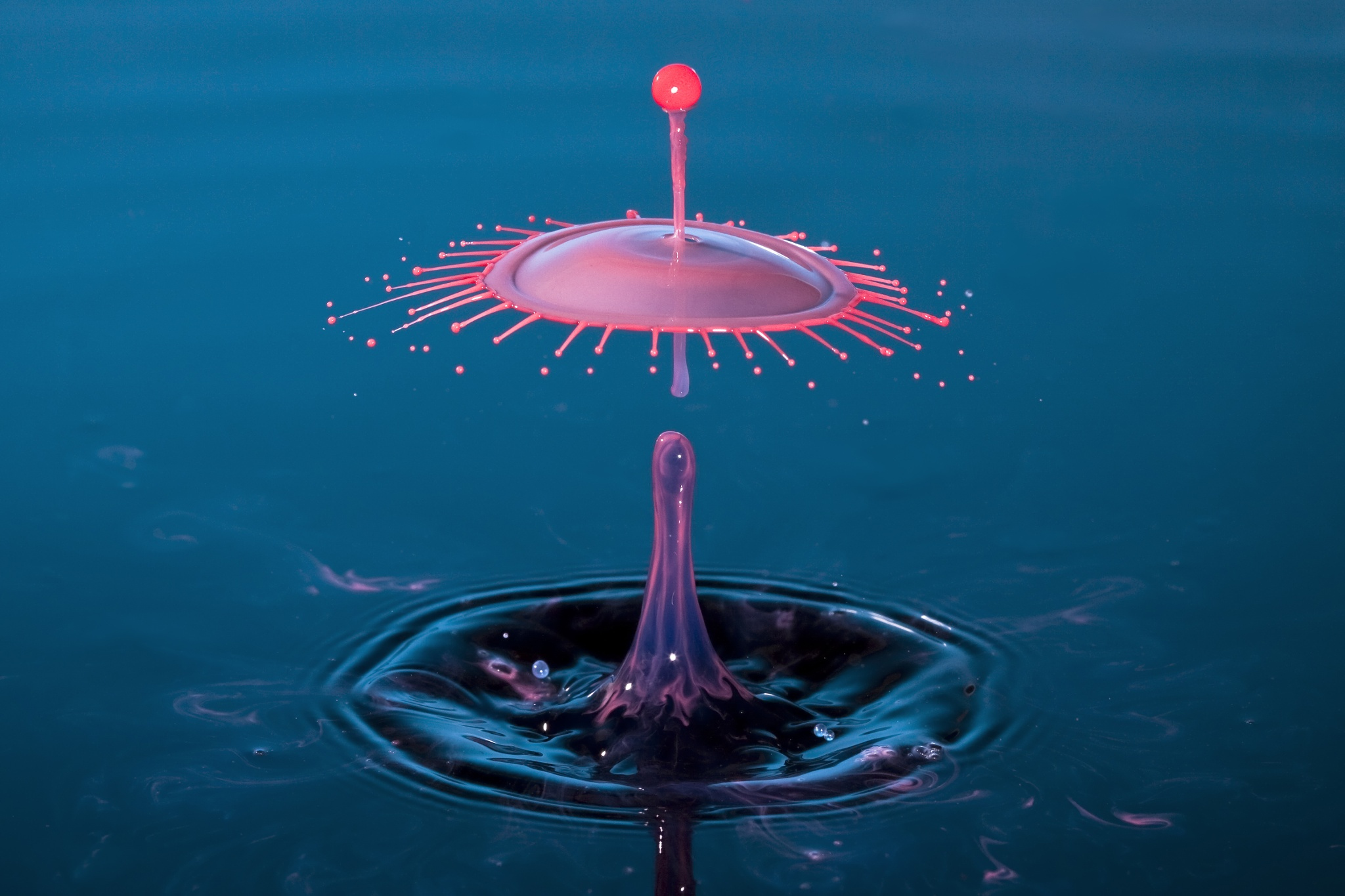 how-to-get-started-in-water-drop-photography-500px