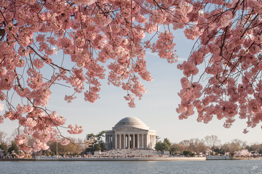 35 Beautiful Photos of Cherry Blossoms Around the World - 500px