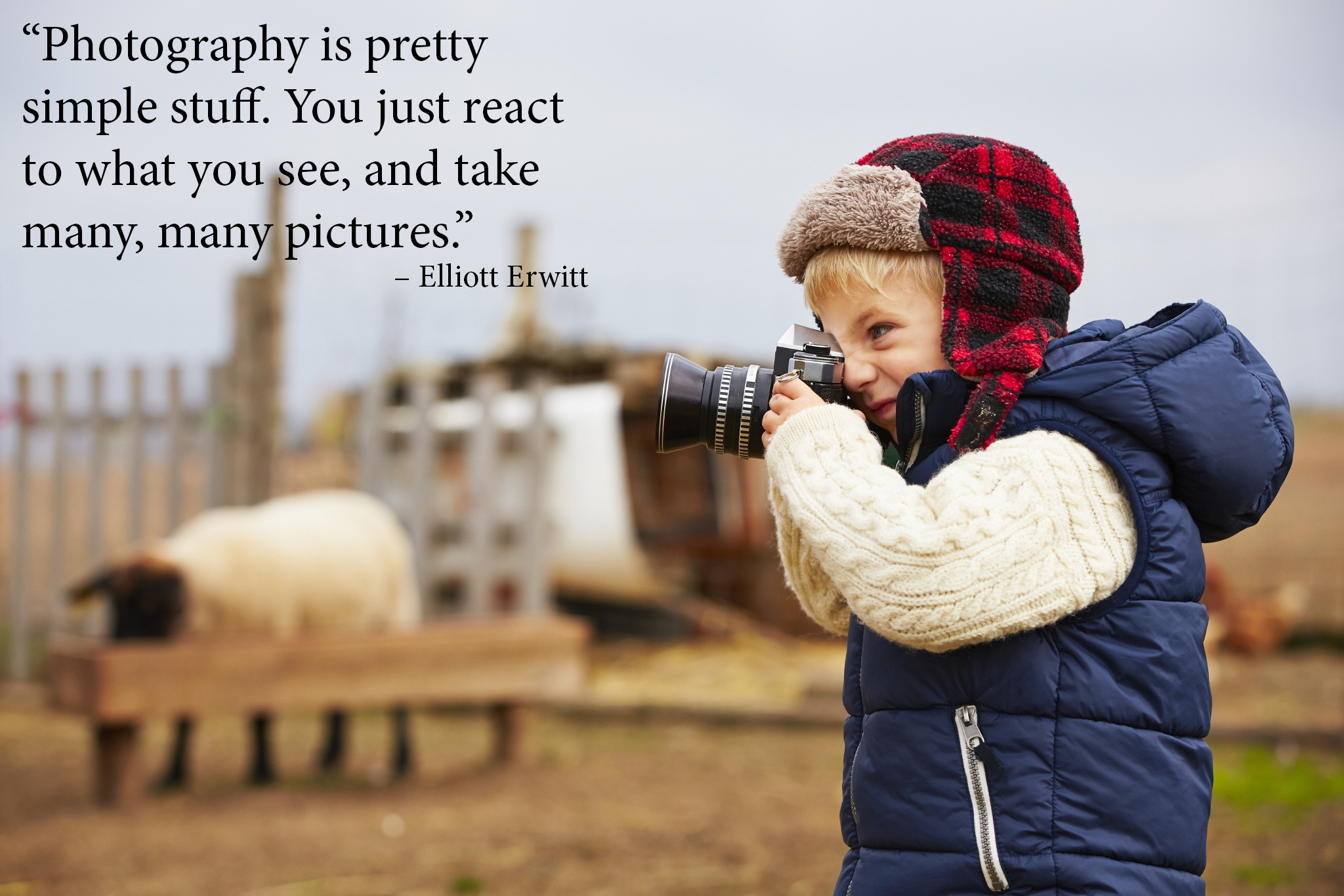 cute photography life quotes