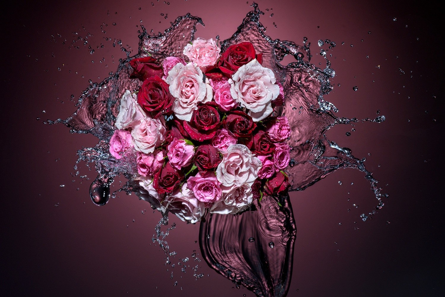 Splashing Roses: Behind the Scenes of a High-Speed Liquid Shot