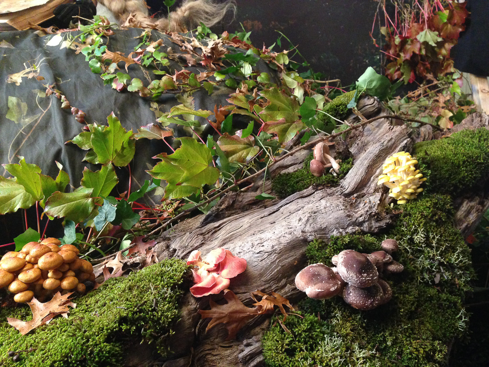 Detail of the gorgeous mushrooms sources for Into the Gloaming.