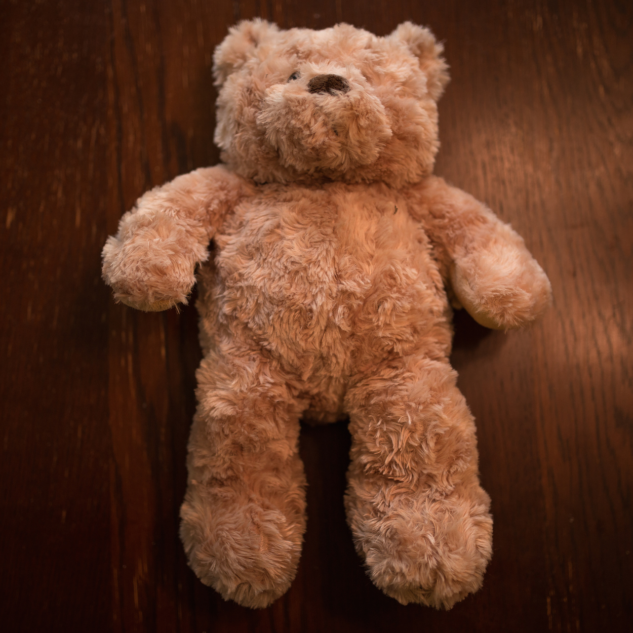 Poseable on sale teddy bear