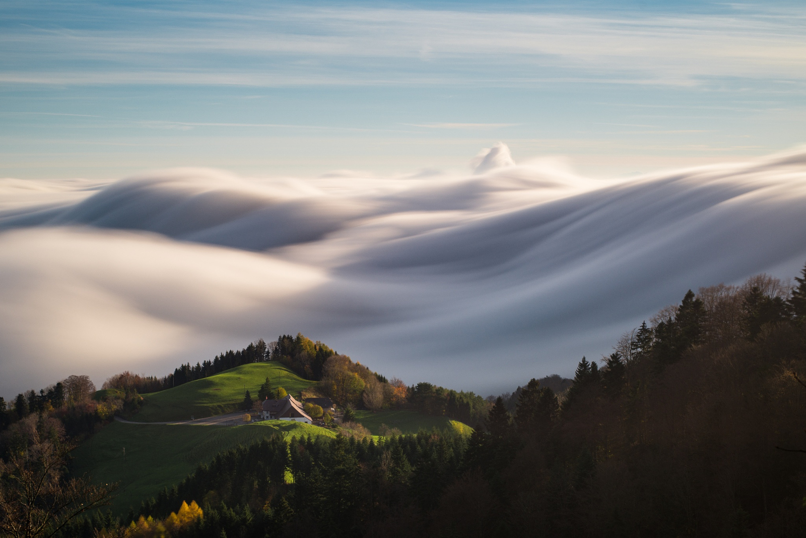 fog landscape