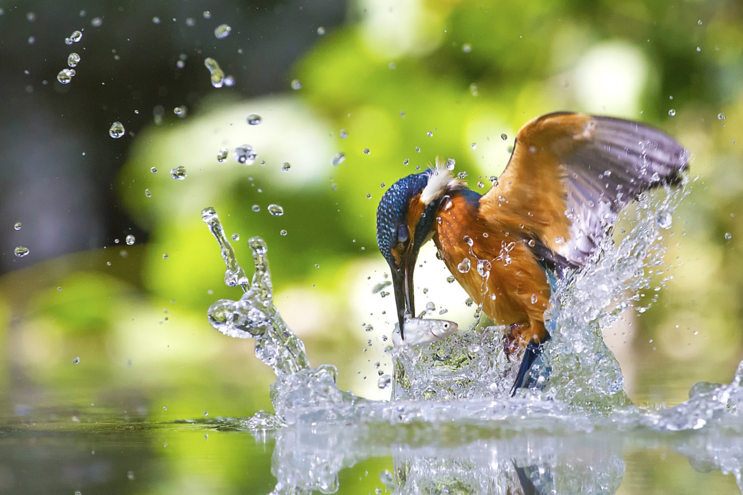 This Week In Popular Top 25 Photos On 500px This Week 7 500px