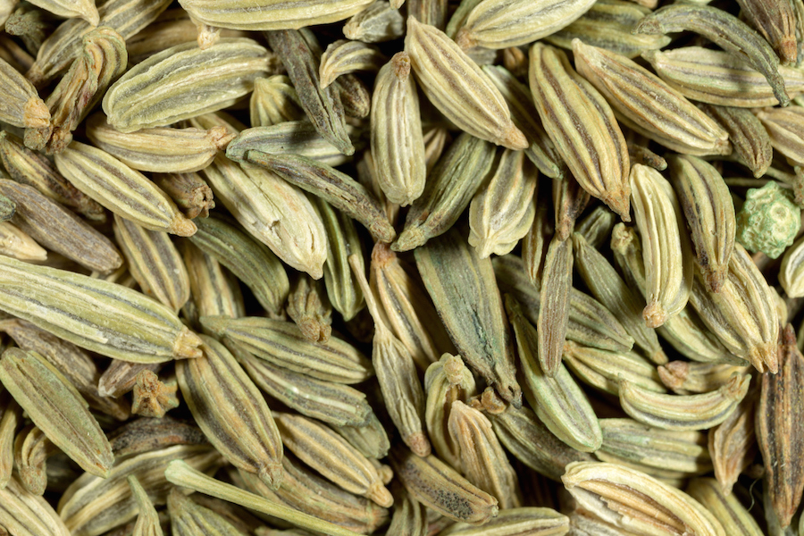 Fennel seeds macro