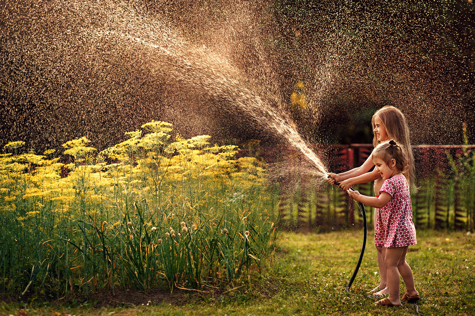 Mom Photographer Captures the Simple Joys of Childhood