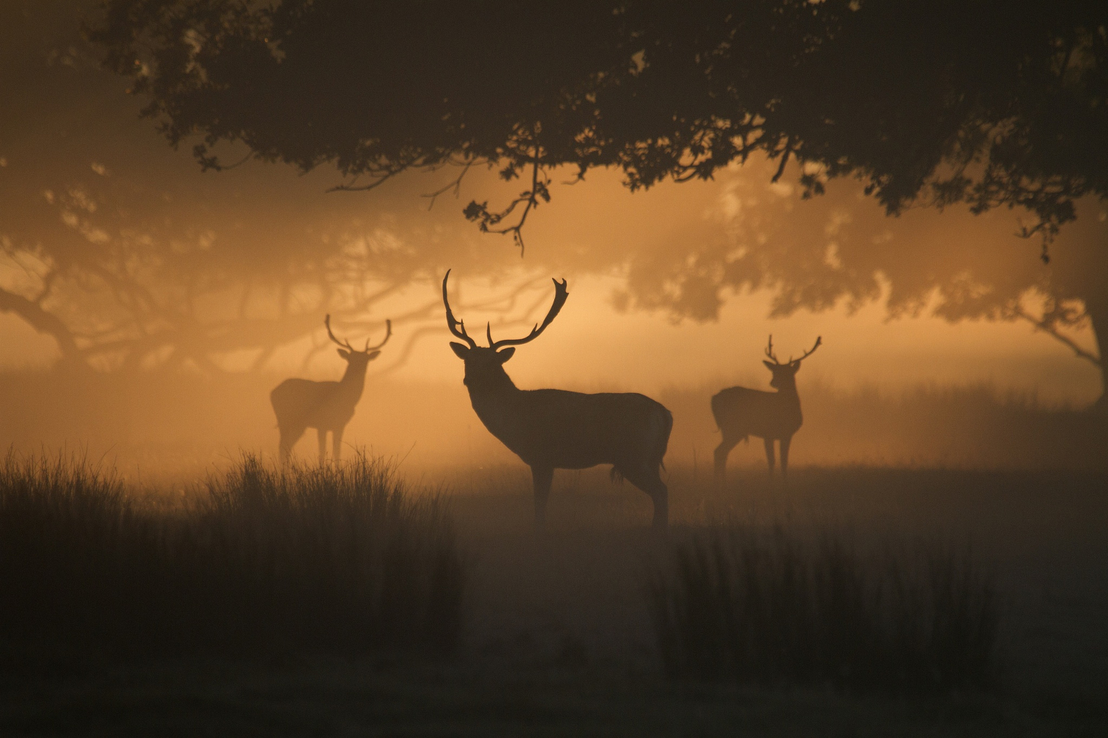 Photographing the Extremes: 30 of the Best Silhouettes on 500px