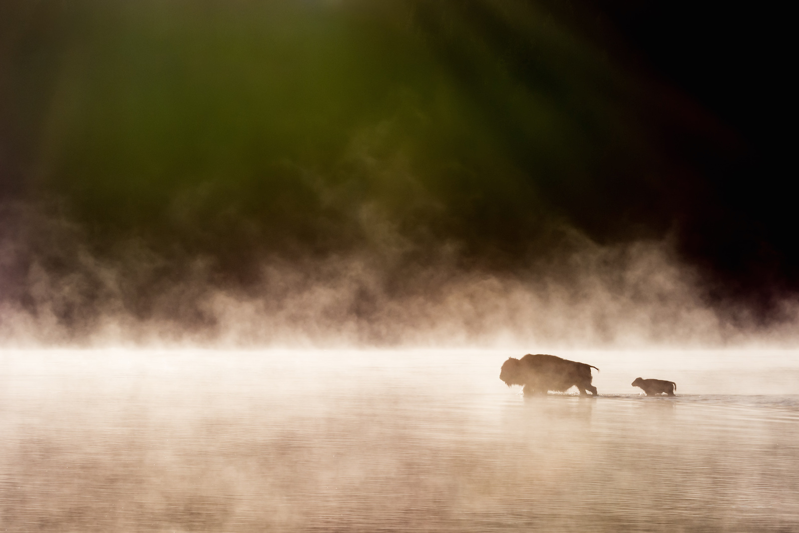 These 4 Photos Beat Out 40,000 to Win The Weather Channel's Photo Contest