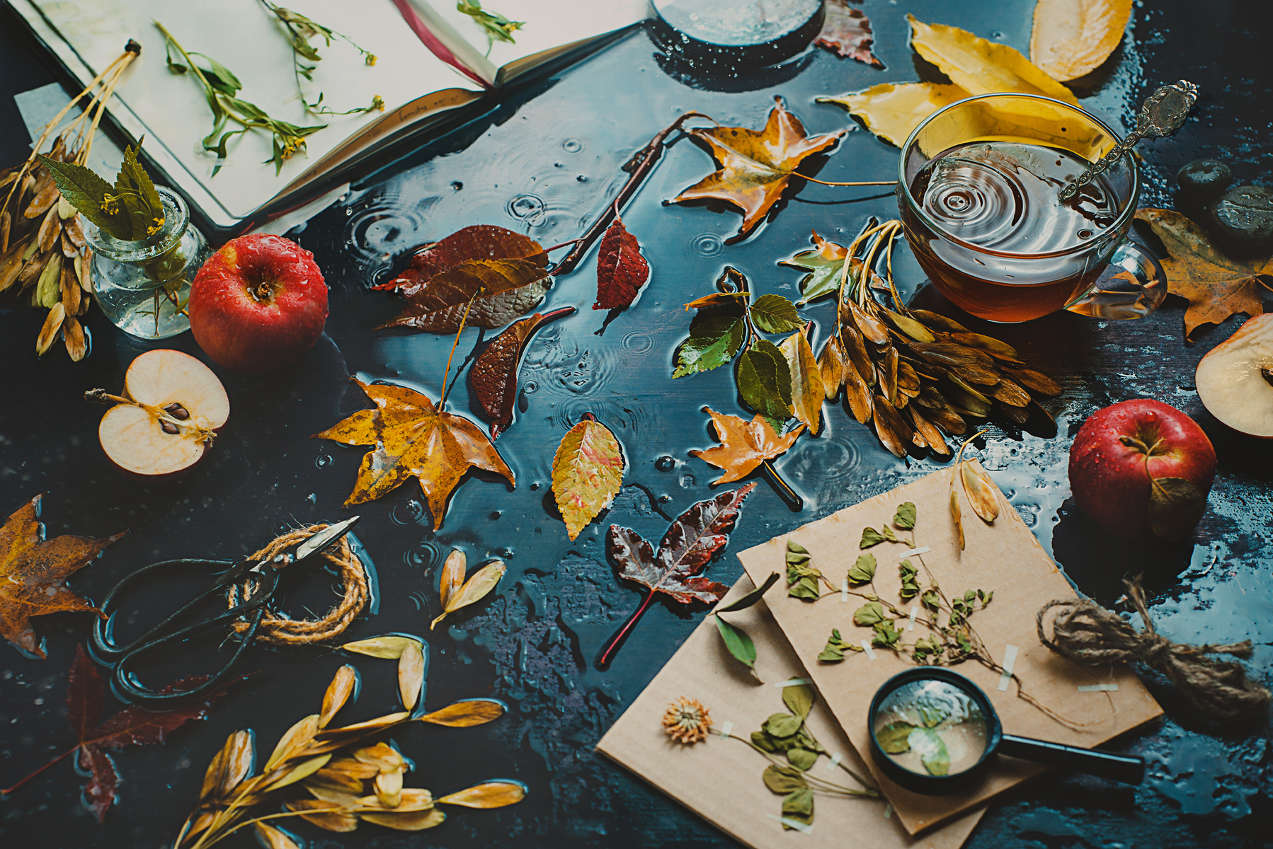 Tutorial: How to Make it Rain on Your Still Life in the Studio