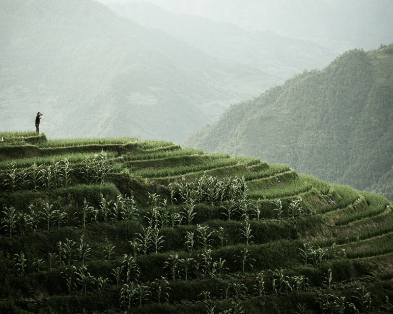 Landscape photographer taking photo of rice terraces in longsheng guangxi china