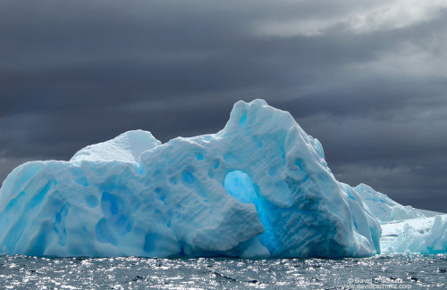 A Day in the Life of Antarctic Photographer David Schultz - 500px