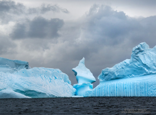 A Day in the Life of Antarctic Photographer David Schultz - 500px