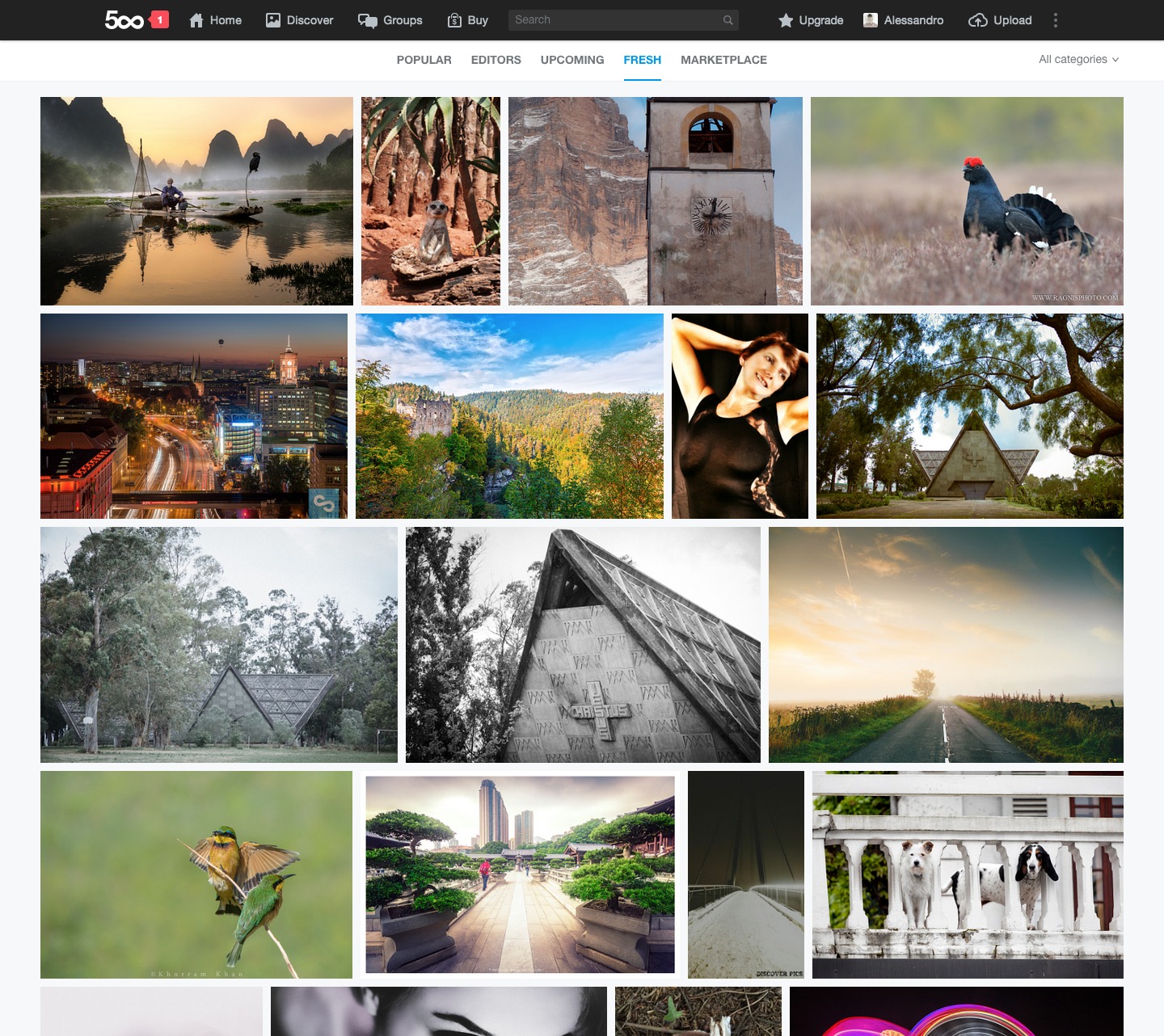 Introducing A Brand New 500px Profile Photo Page And Discover Experience 500px