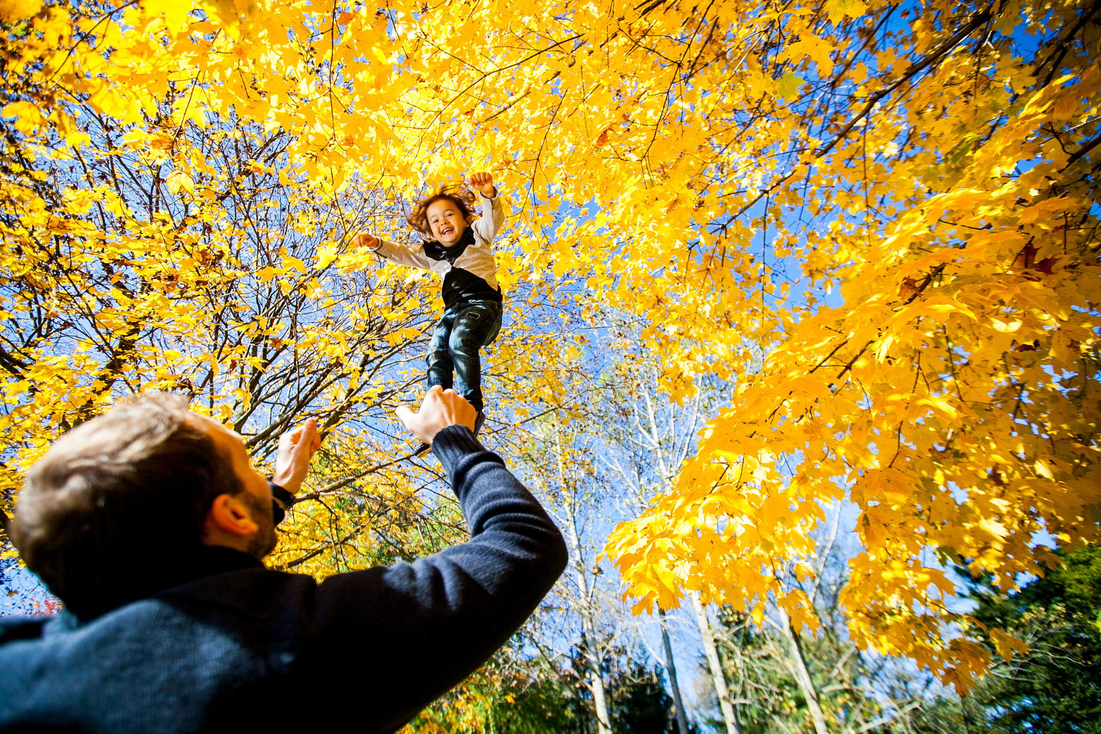 27 Photos that Will Help You Fall in Love with Fall