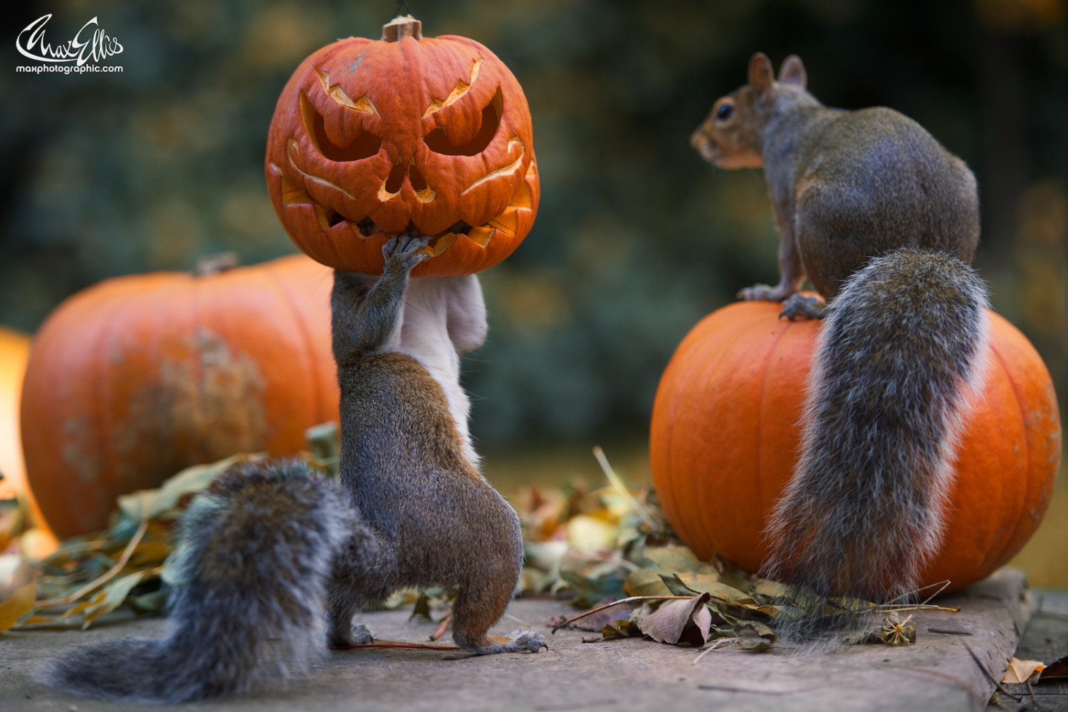The Story Behind the Most Popular Halloween Photo on 500px