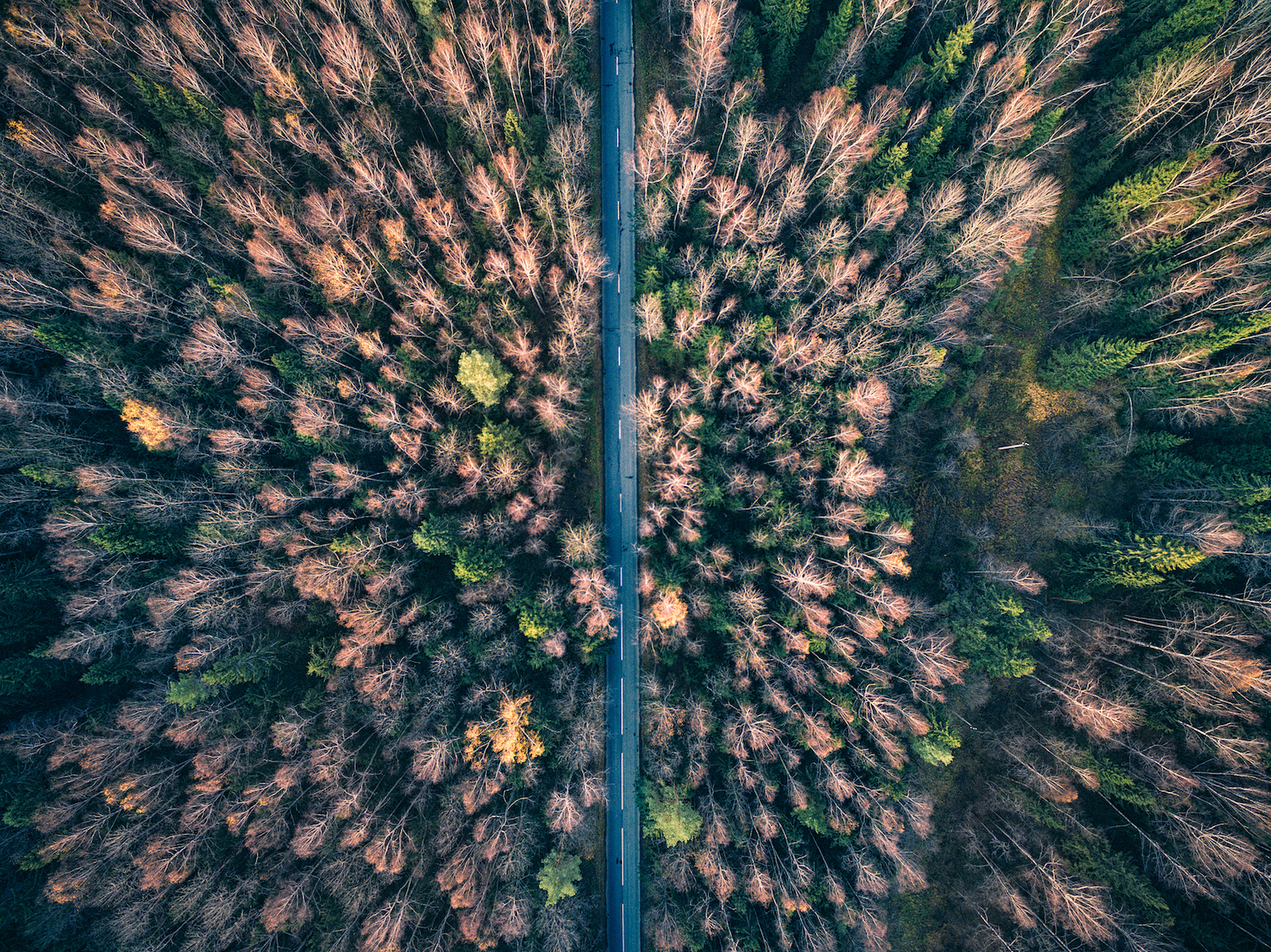 10 Tips That Ll Take Your Drone Photography To New Heights 500px Images, Photos, Reviews