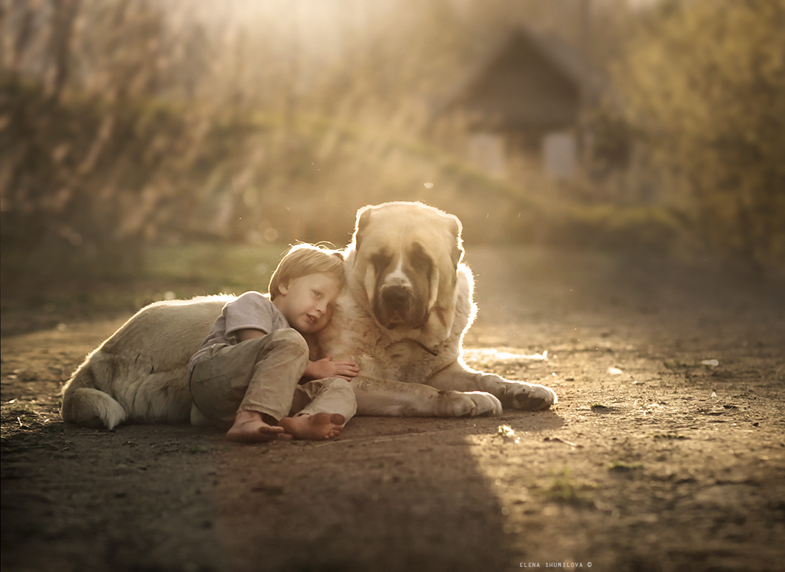 Elena Shumilova фотограф