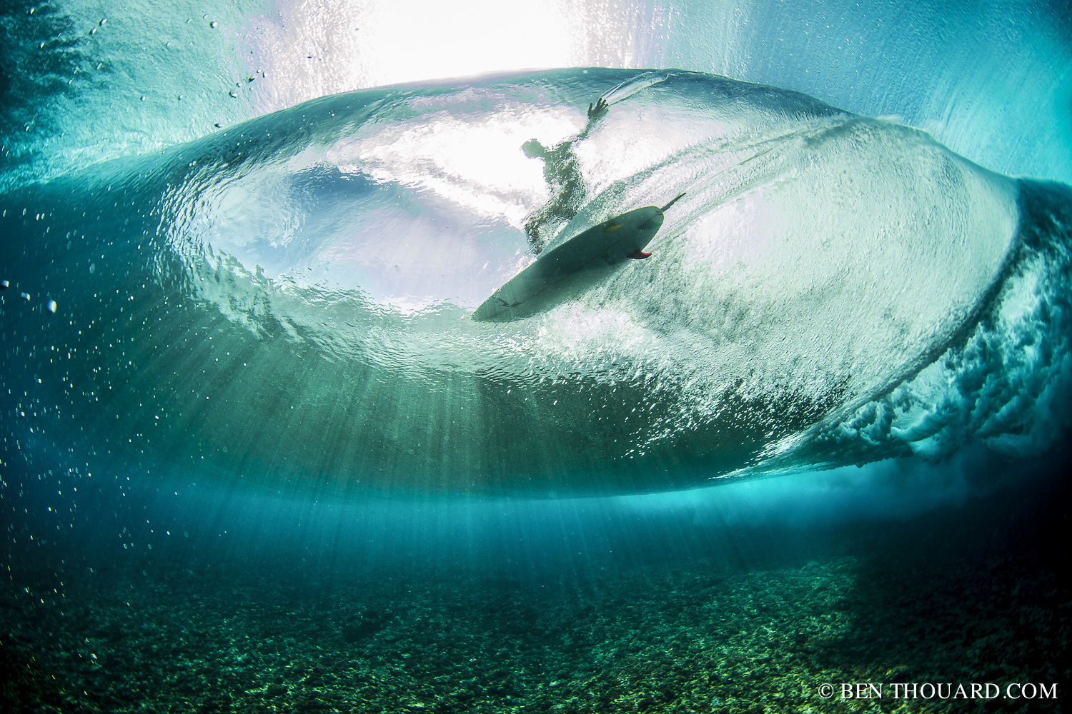 Best of 2015: Top 10 Underwater Photos