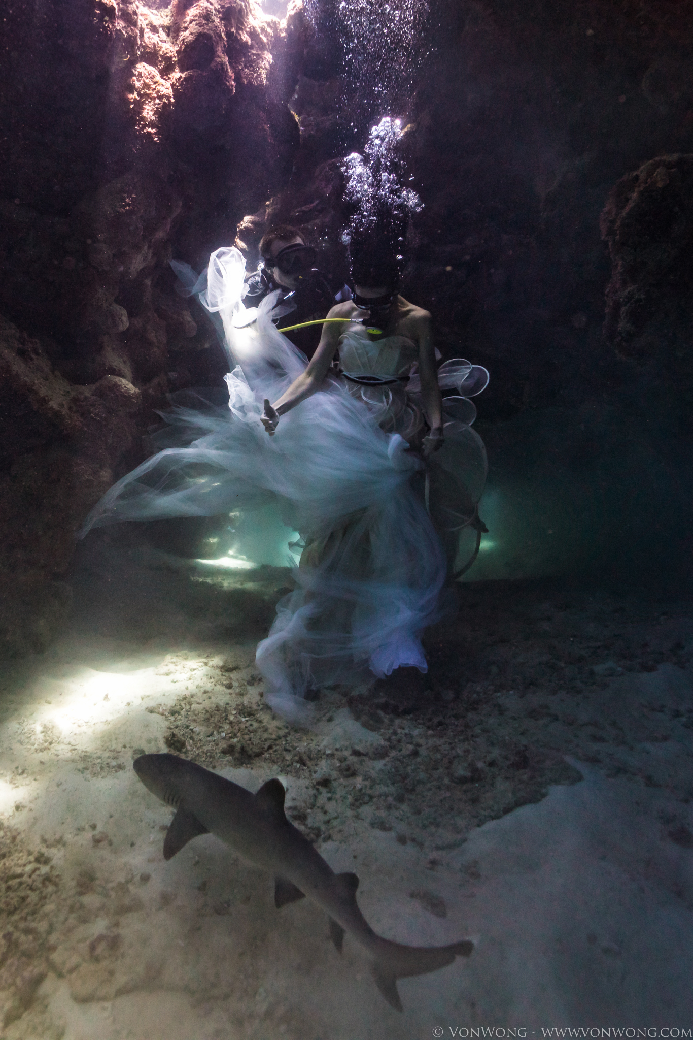 BTS_SharkShepherd_VonWong_3