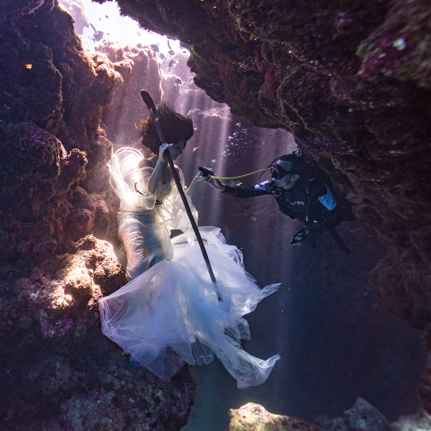 BTS_SharkShepherd_VonWong_5_crop