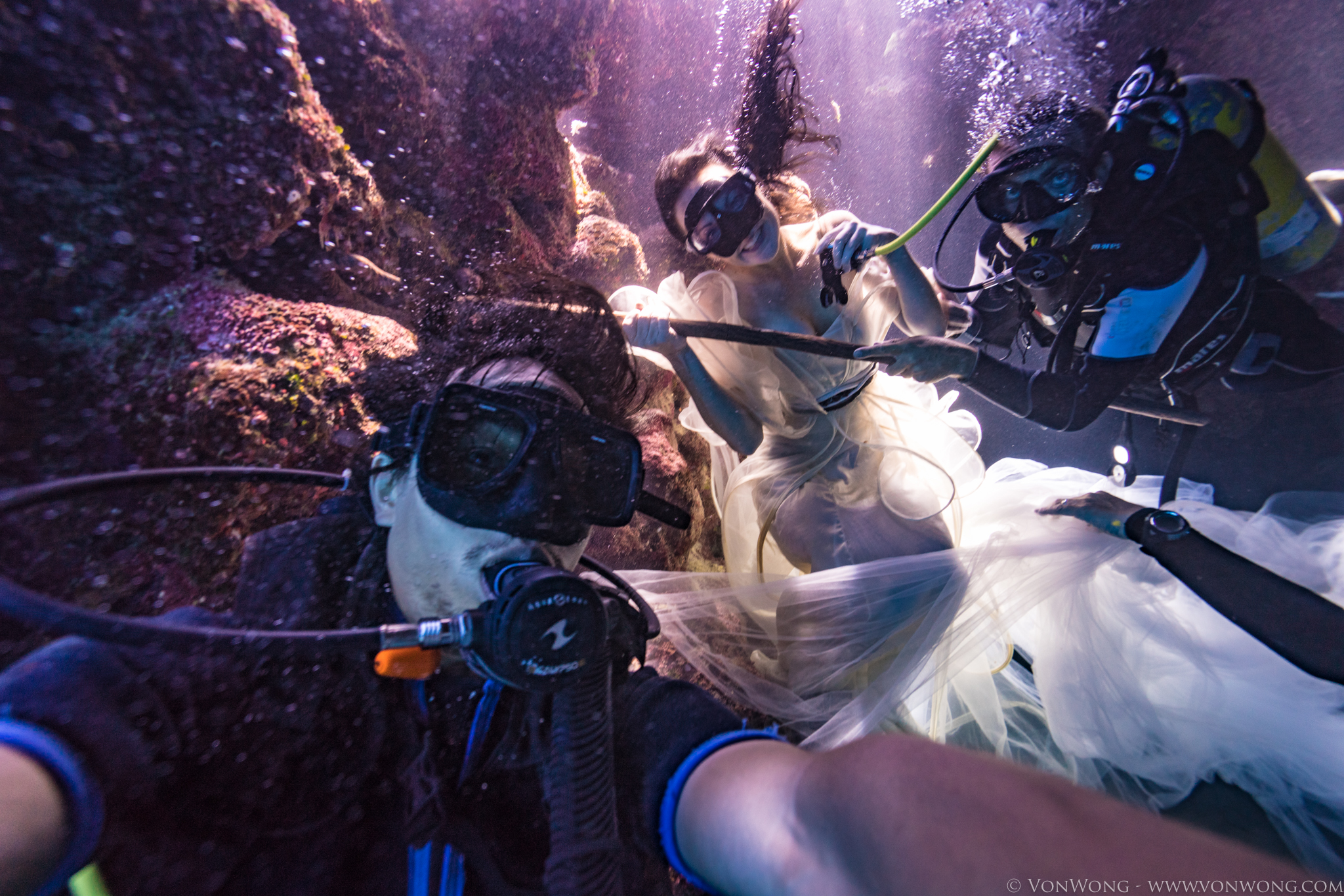 BTS_SharkShepherd_VonWong_7