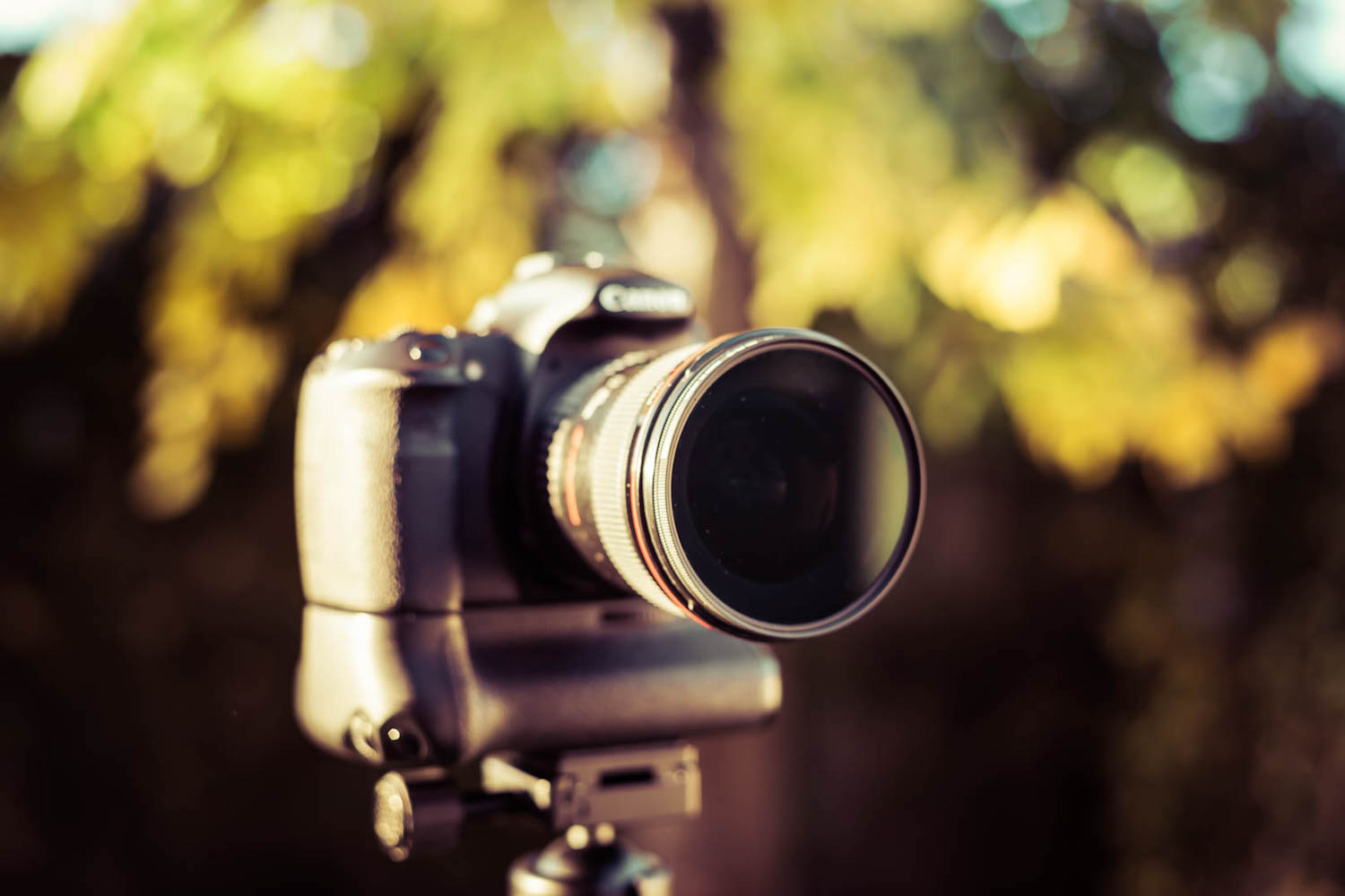 The Importance of Filters: A Basic Beginner's Guide - 500px